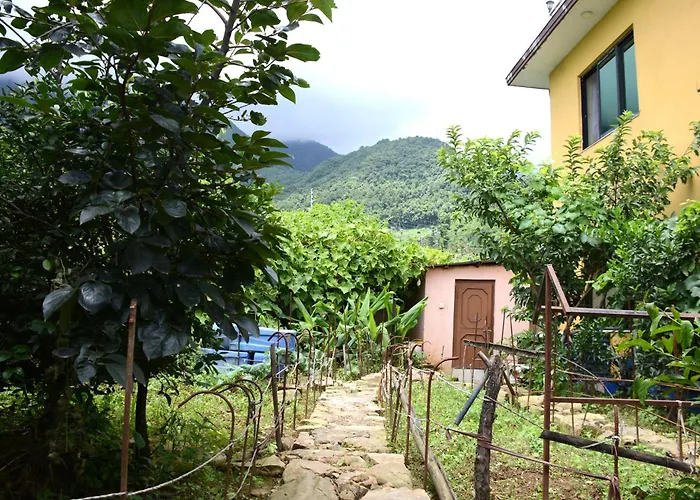 Beautiful House And Garden